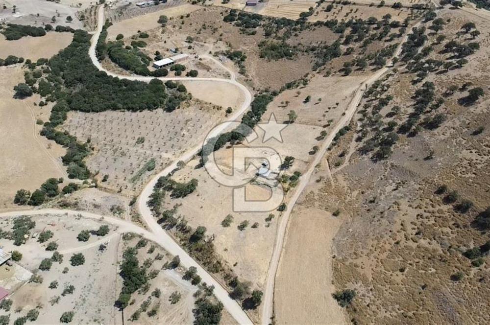 ÇANAKKALE AYVACIK KÖSEDERE KÖYÜ'NDE KAÇIRILMAYACAK FIRSAT