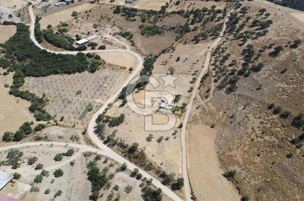 ÇANAKKALE AYVACIK KÖSEDERE KÖYÜ'NDE KAÇIRILMAYACAK FIRSAT