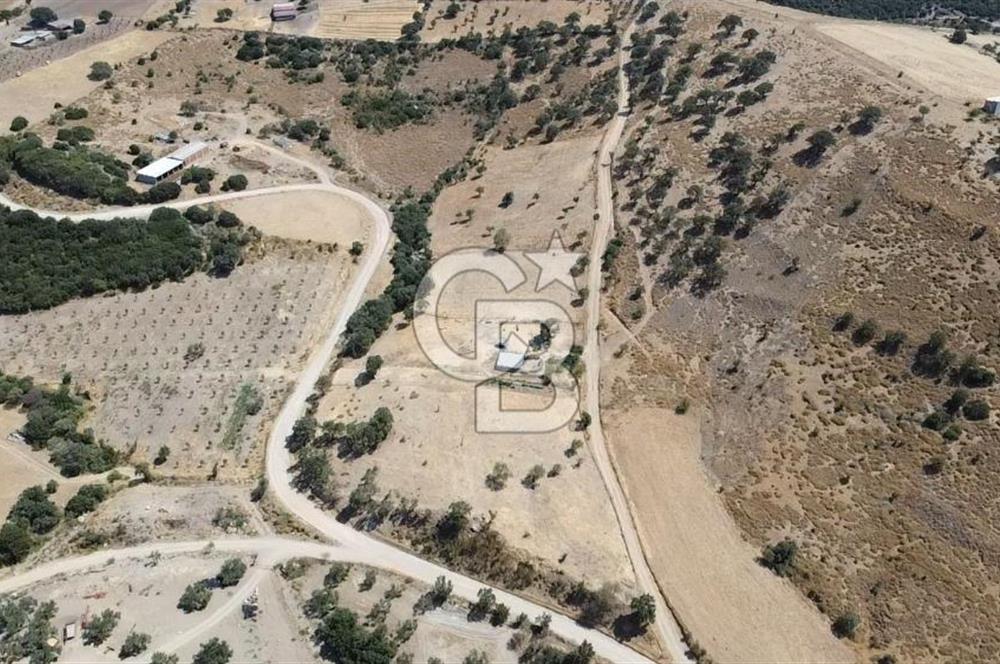 ÇANAKKALE AYVACIK KÖSEDERE KÖYÜ'NDE KAÇIRILMAYACAK FIRSAT