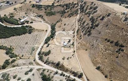 ÇANAKKALE AYVACIK KÖSEDERE KÖYÜ'NDE KAÇIRILMAYACAK FIRSAT