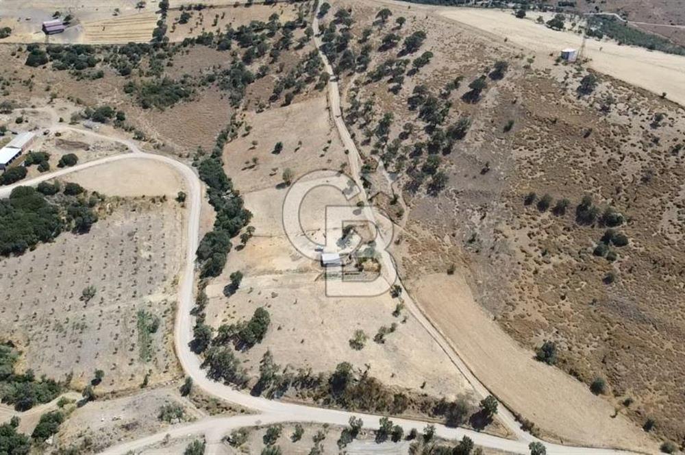 ÇANAKKALE AYVACIK KÖSEDERE KÖYÜ'NDE KAÇIRILMAYACAK FIRSAT
