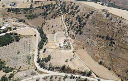 ÇANAKKALE AYVACIK KÖSEDERE KÖYÜ'NDE KAÇIRILMAYACAK FIRSAT