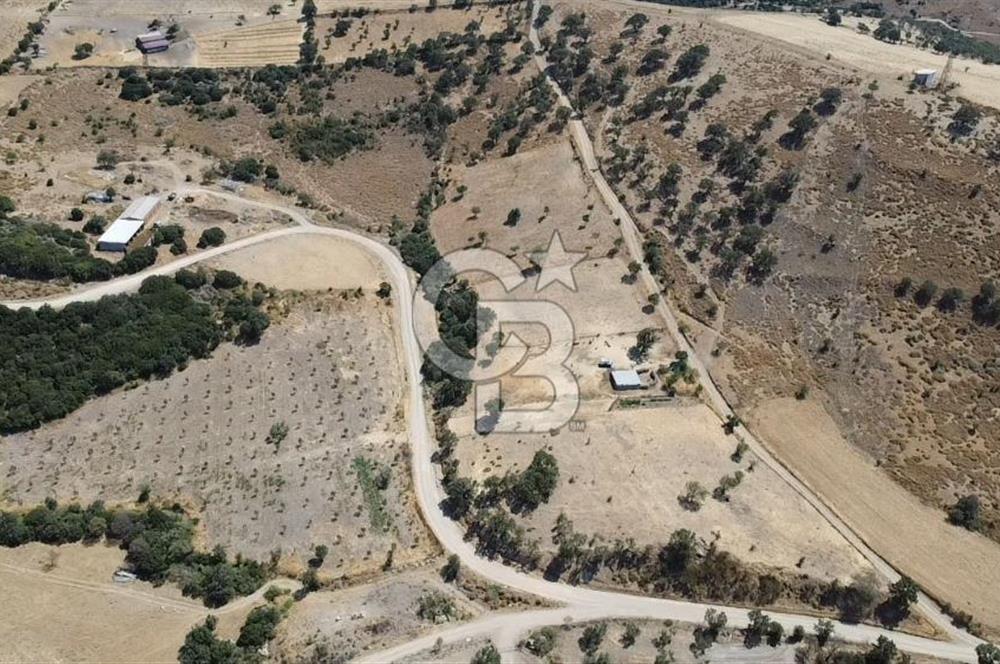 ÇANAKKALE AYVACIK KÖSEDERE KÖYÜ'NDE KAÇIRILMAYACAK FIRSAT