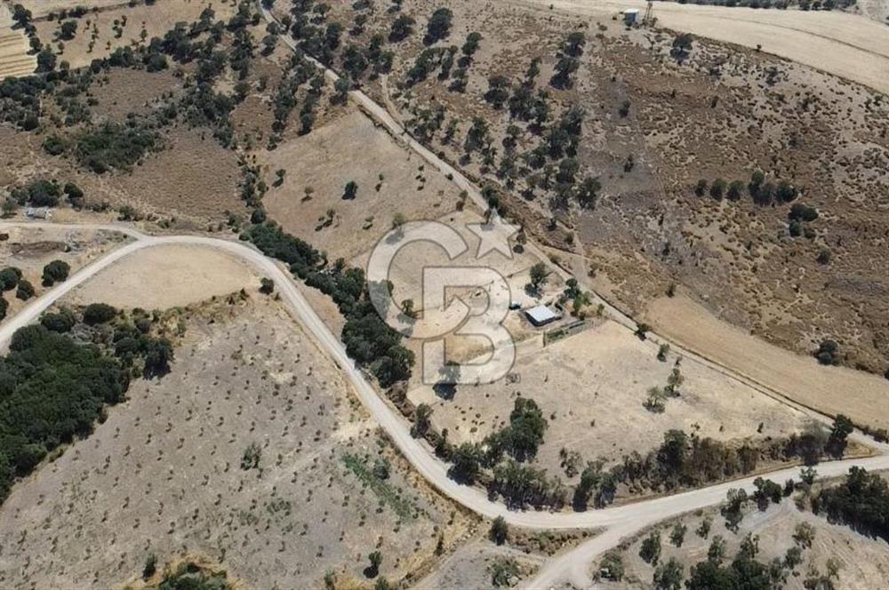 ÇANAKKALE AYVACIK KÖSEDERE KÖYÜ'NDE KAÇIRILMAYACAK FIRSAT
