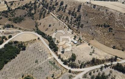 ÇANAKKALE AYVACIK KÖSEDERE KÖYÜ'NDE KAÇIRILMAYACAK FIRSAT