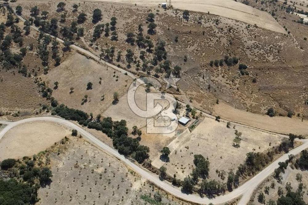 ÇANAKKALE AYVACIK KÖSEDERE KÖYÜ'NDE KAÇIRILMAYACAK FIRSAT