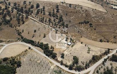 ÇANAKKALE AYVACIK KÖSEDERE KÖYÜ'NDE KAÇIRILMAYACAK FIRSAT