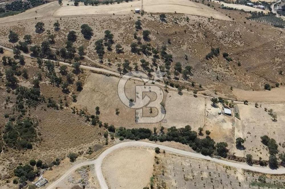 ÇANAKKALE AYVACIK KÖSEDERE KÖYÜ'NDE KAÇIRILMAYACAK FIRSAT
