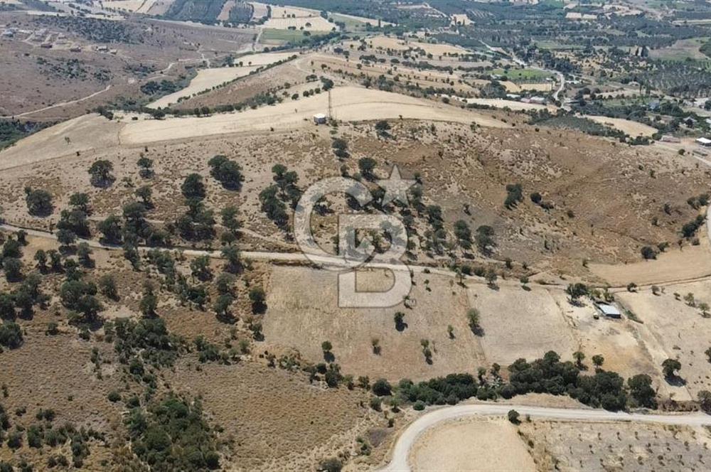 ÇANAKKALE AYVACIK KÖSEDERE KÖYÜ'NDE KAÇIRILMAYACAK FIRSAT