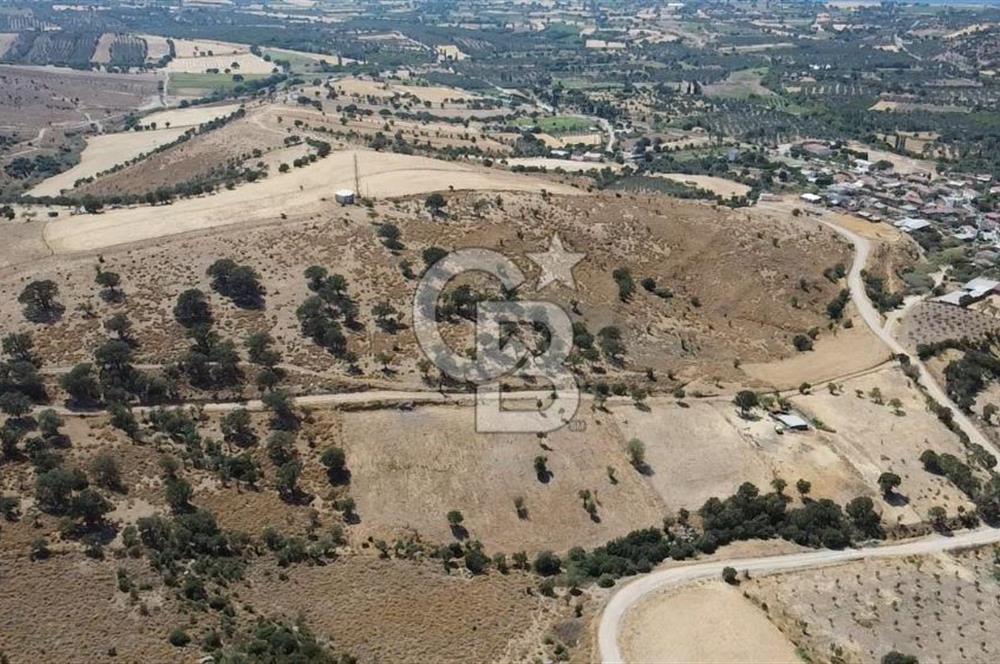 ÇANAKKALE AYVACIK KÖSEDERE KÖYÜ'NDE KAÇIRILMAYACAK FIRSAT