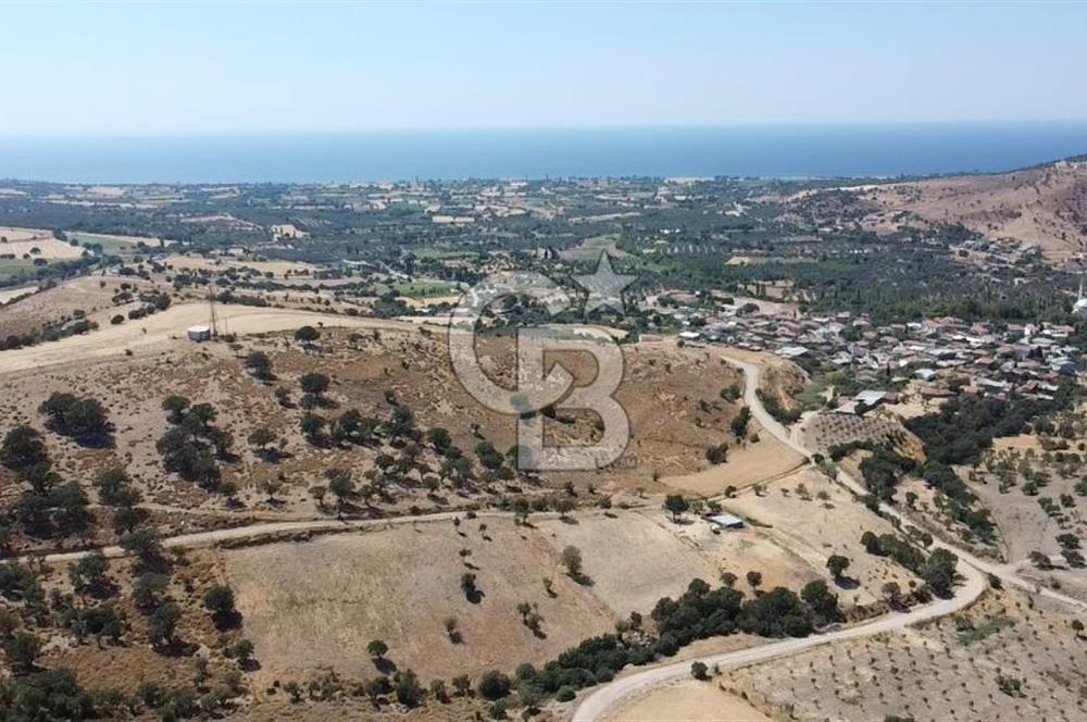 ÇANAKKALE AYVACIK KÖSEDERE KÖYÜ'NDE KAÇIRILMAYACAK FIRSAT