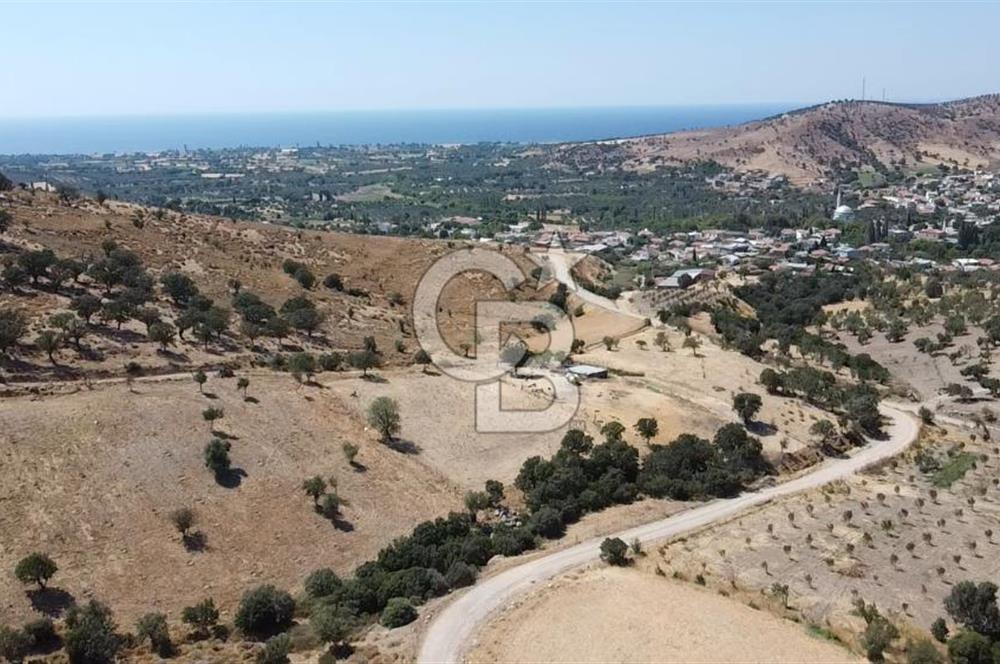 ÇANAKKALE AYVACIK KÖSEDERE KÖYÜ'NDE KAÇIRILMAYACAK FIRSAT