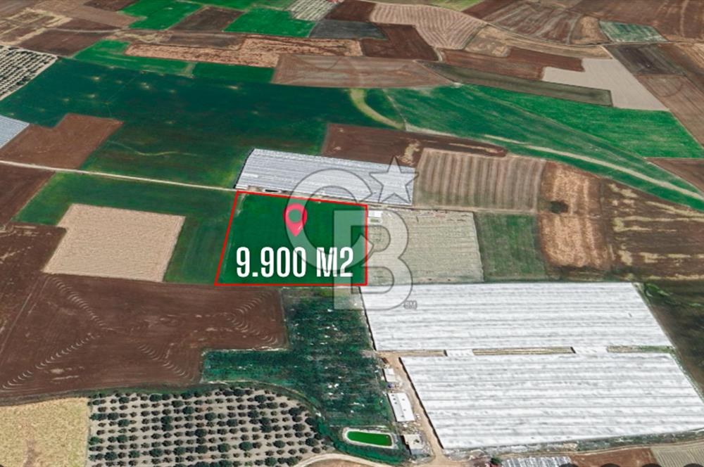 ELMALI TEKKEDE 9.900 M2 SATILIK TARLA