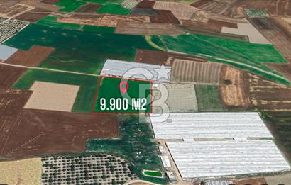 ELMALI TEKKEDE 9.900 M2 SATILIK TARLA