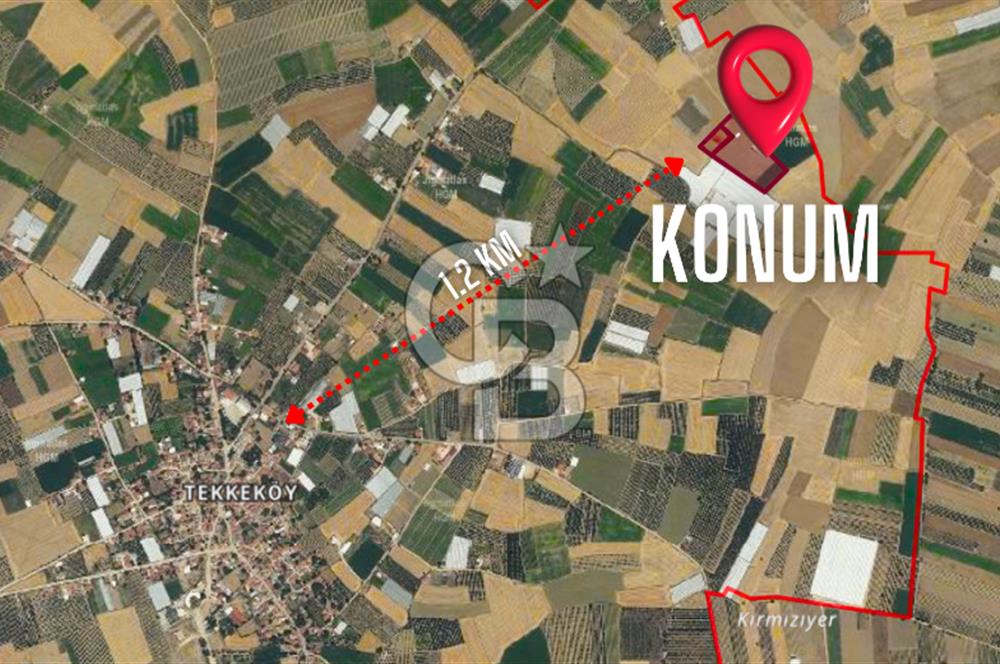 ELMALI TEKKEDE 9.900 M2 SATILIK TARLA