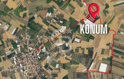 ELMALI TEKKEDE 9.900 M2 SATILIK TARLA