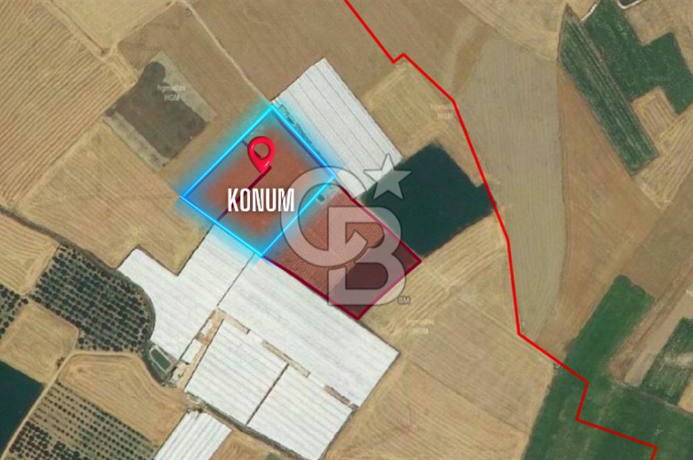 ELMALI TEKKEDE 9.900 M2 SATILIK TARLA