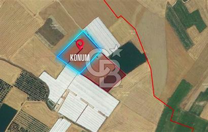 ELMALI TEKKEDE 9.900 M2 SATILIK TARLA