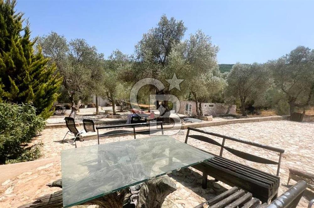 URLA KADIOVACIK DA 32 ODALI SATILIK BUTİK OTEL