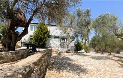 URLA KADIOVACIK DA 32 ODALI SATILIK BUTİK OTEL