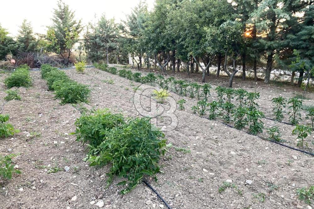 ÖzÇağla Sitesi 2 Katlı Villa, 5 Dönüm Arsa ile Birlikte Satılık 
