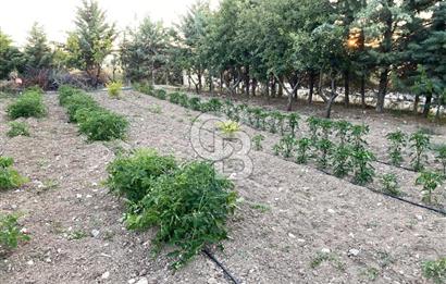 ÖzÇağla Sitesi 2 Katlı Villa, 5 Dönüm Arsa ile Birlikte Satılık 