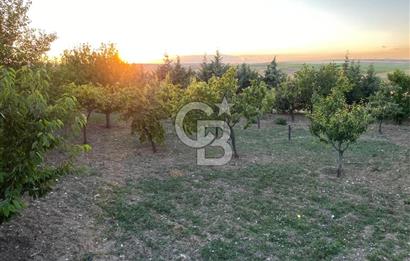 ÖzÇağla Sitesi 2 Katlı Villa, 5 Dönüm Arsa ile Birlikte Satılık 
