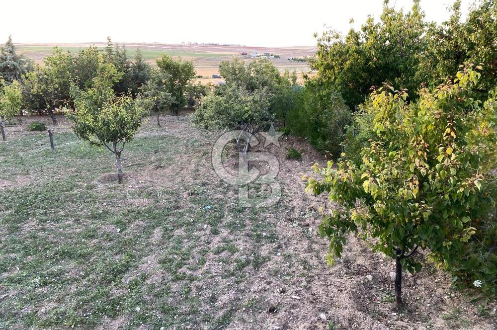 ÖzÇağla Sitesi 2 Katlı Villa, 5 Dönüm Arsa ile Birlikte Satılık 