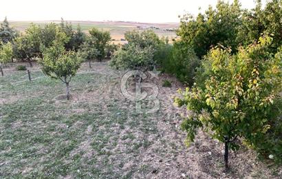 ÖzÇağla Sitesi 2 Katlı Villa, 5 Dönüm Arsa ile Birlikte Satılık 