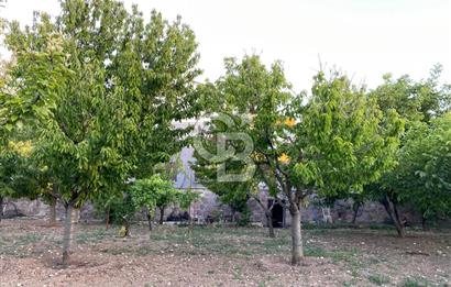 ÖzÇağla Sitesi 2 Katlı Villa, 5 Dönüm Arsa ile Birlikte Satılık 