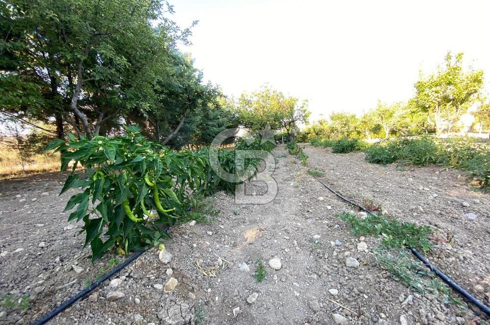 ÖzÇağla Sitesi 2 Katlı Villa, 5 Dönüm Arsa ile Birlikte Satılık 