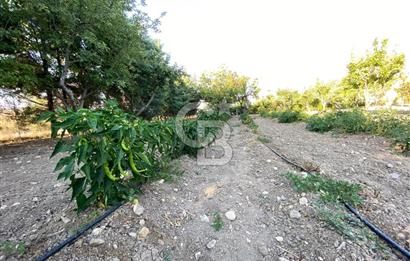 ÖzÇağla Sitesi 2 Katlı Villa, 5 Dönüm Arsa ile Birlikte Satılık 