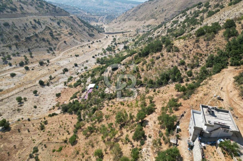 CB'DEN ŞEHİR MERKEZİNE YAKIN KANDILDA TEK TAPULU SATILIK BAĞ
