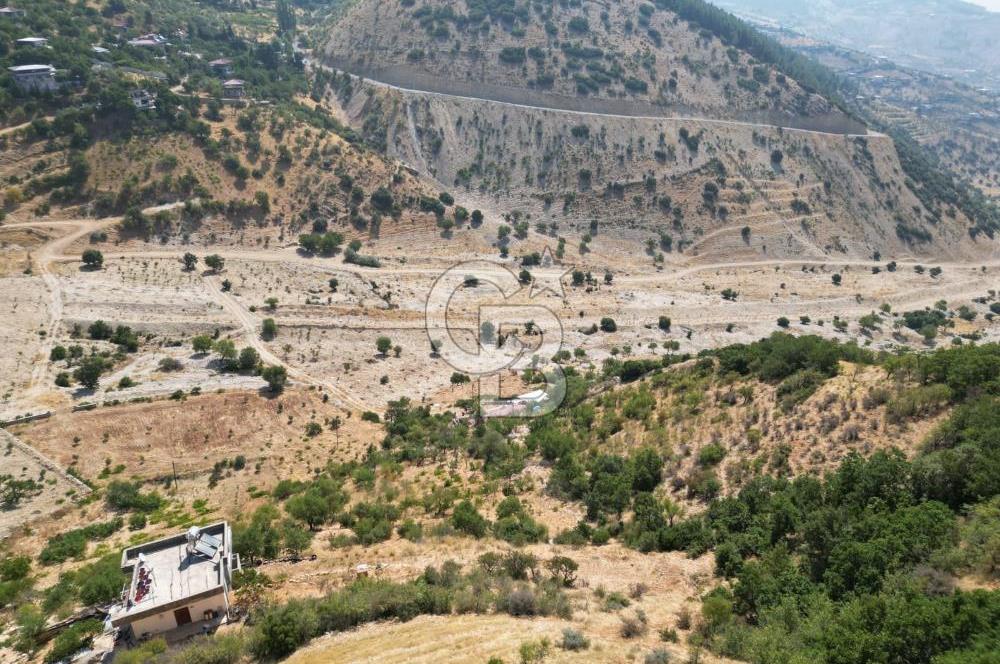 CB'DEN ŞEHİR MERKEZİNE YAKIN KANDILDA TEK TAPULU SATILIK BAĞ