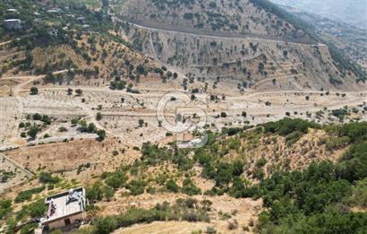 CB'DEN ŞEHİR MERKEZİNE YAKIN KANDILDA TEK TAPULU SATILIK BAĞ