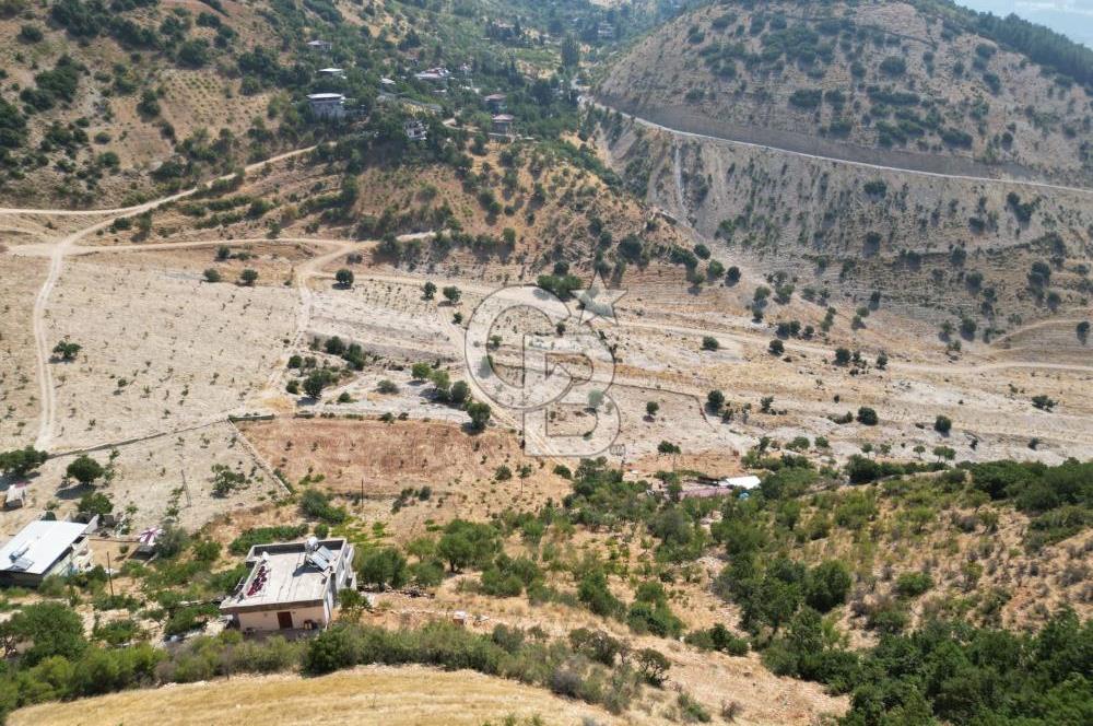 CB'DEN ŞEHİR MERKEZİNE YAKIN KANDILDA TEK TAPULU SATILIK BAĞ
