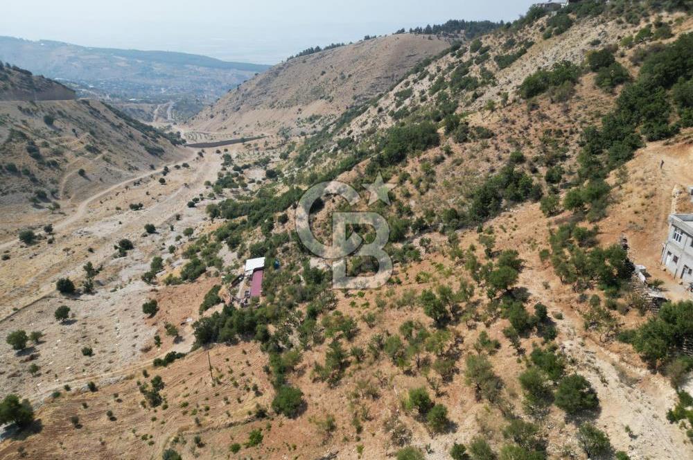 CB'DEN ŞEHİR MERKEZİNE YAKIN KANDILDA TEK TAPULU SATILIK BAĞ