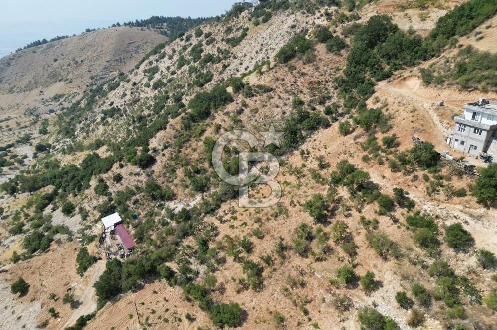 CB'DEN ŞEHİR MERKEZİNE YAKIN KANDILDA TEK TAPULU SATILIK BAĞ
