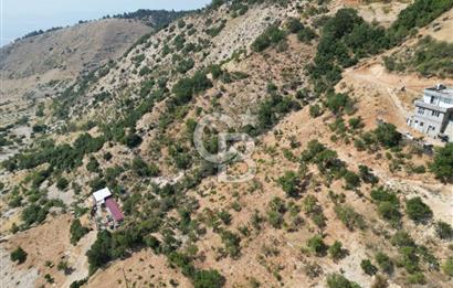 CB'DEN ŞEHİR MERKEZİNE YAKIN KANDILDA TEK TAPULU SATILIK BAĞ