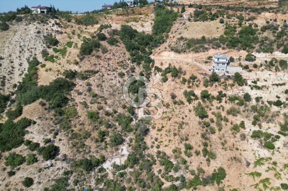 CB'DEN ŞEHİR MERKEZİNE YAKIN KANDILDA TEK TAPULU SATILIK BAĞ