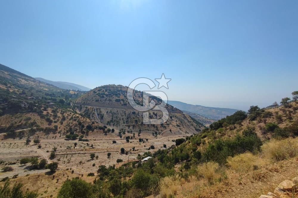 CB'DEN ŞEHİR MERKEZİNE YAKIN KANDILDA TEK TAPULU SATILIK BAĞ