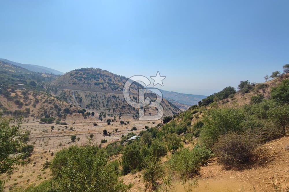CB'DEN ŞEHİR MERKEZİNE YAKIN KANDILDA TEK TAPULU SATILIK BAĞ