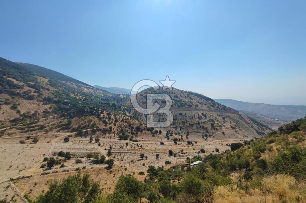 CB'DEN ŞEHİR MERKEZİNE YAKIN KANDILDA TEK TAPULU SATILIK BAĞ