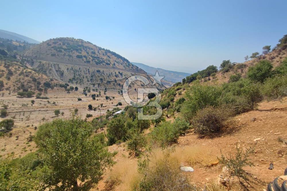 CB'DEN ŞEHİR MERKEZİNE YAKIN KANDILDA TEK TAPULU SATILIK BAĞ