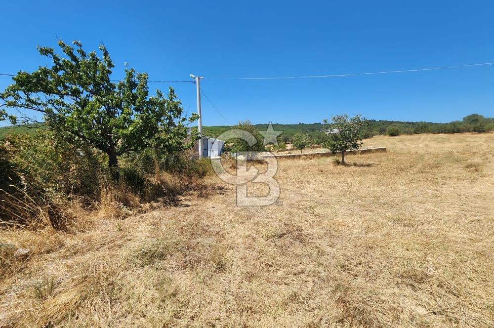 Edirne Keşan Sazlıdere Satılık 671 M2 Villa İmarlı Arsa