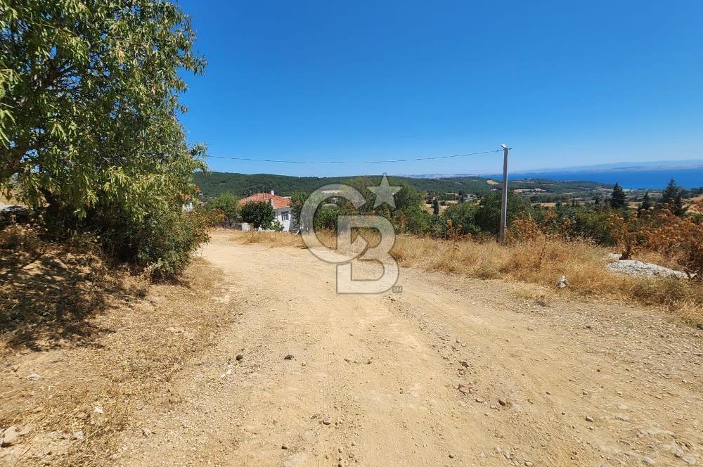 Edirne Keşan Sazlıdere Satılık 671 M2 Villa İmarlı Arsa