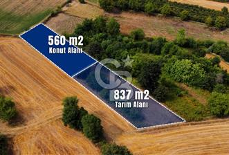CBAKADEMİ SATILIK AMBARCI KISMİ KÖY İÇİ KONUT İMARLI 1397m2 ARSA
