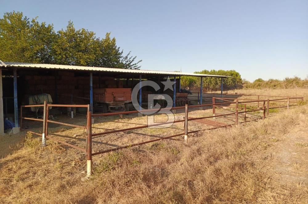BALIKESİR / GÖNEN/BAYRAMİÇ KÖYÜ İÇİNDE SATILIK ARSA VE TESİS