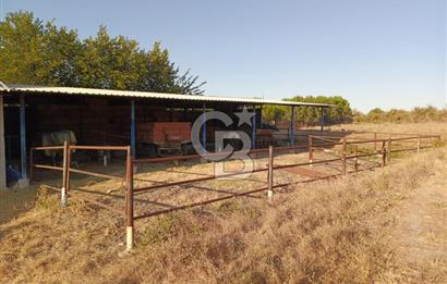 BALIKESİR / GÖNEN/BAYRAMİÇ KÖYÜ İÇİNDE SATILIK ARSA VE TESİS