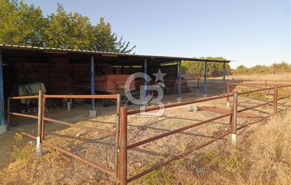 BALIKESİR / GÖNEN/BAYRAMİÇ KÖYÜ İÇİNDE SATILIK ARSA VE TESİS